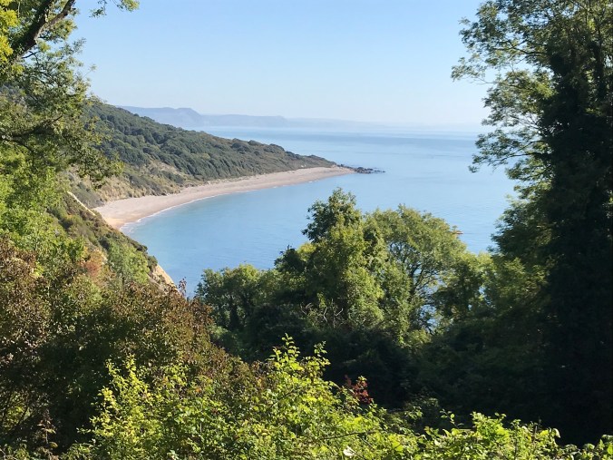 Gja6y6q4SbGbeBfo9x8sDA