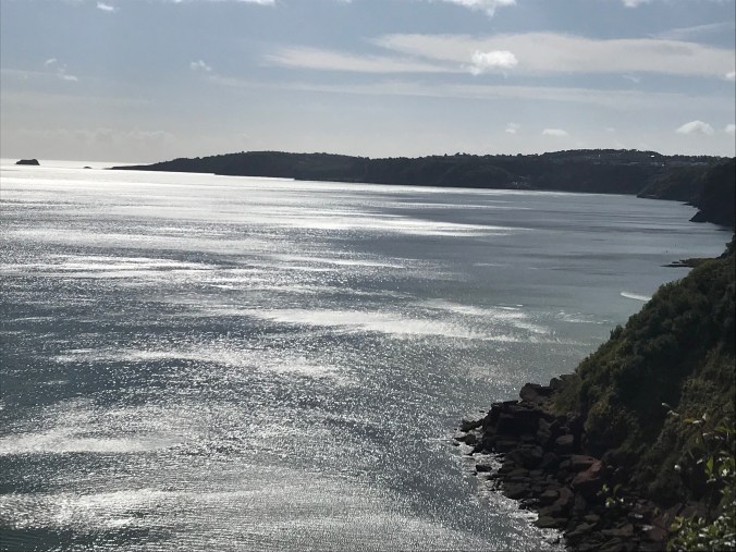 P4jRBR98SMejawoexh1law