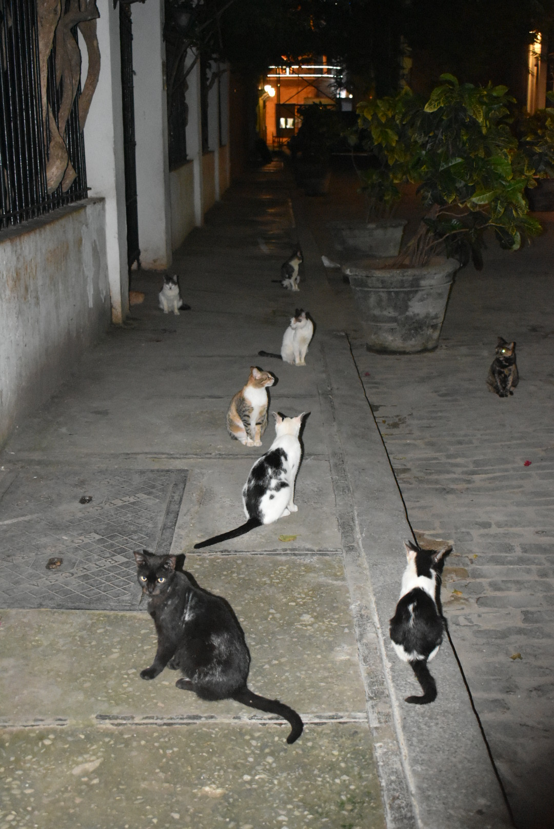 DSC_0040